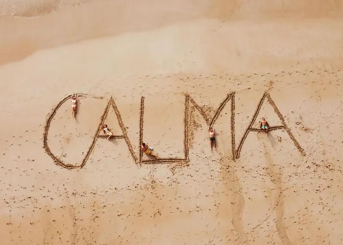 Calma Fuerteventura On The Amazing In Fuerteventura *