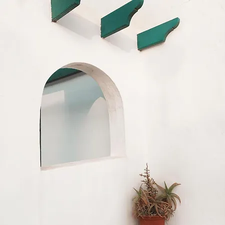 Calma Fuerteventura On The Amazing In Fuerteventura Daire Cotillo